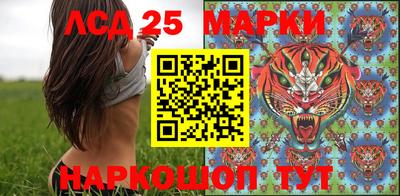 гидропоника Ставрополь