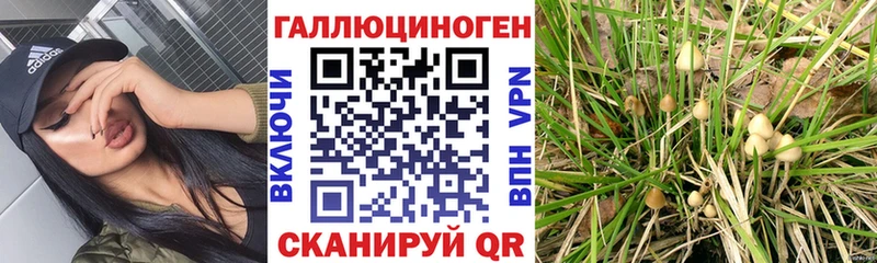 Галлюциногенные грибы прущие грибы  Краснознаменск 
