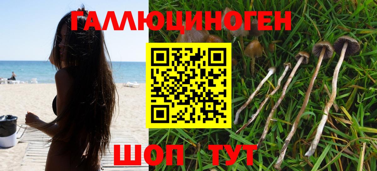 Галлюциногенные грибы мицелий Краснознаменск